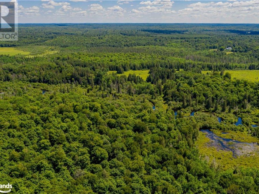 Lot 8 Nelson Lake Road, Magnetawan