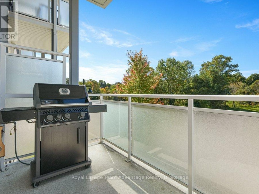 203 - 20A SILVER BIRCH COURT,