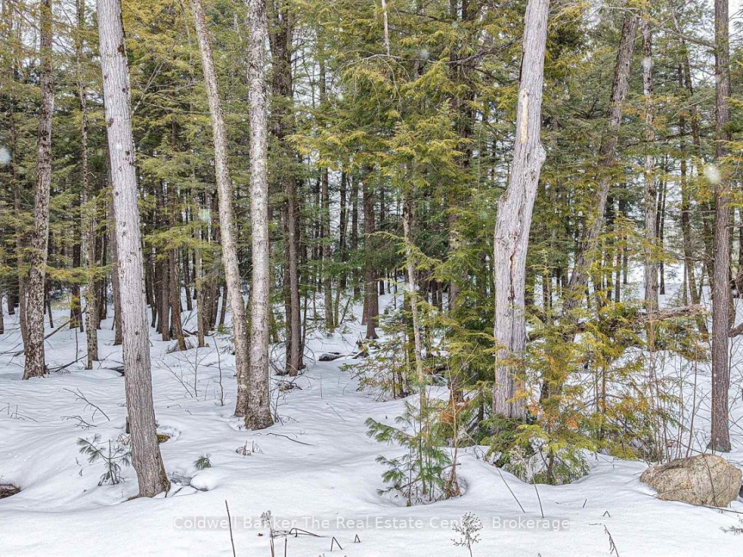 1080 KILWORTHY ROAD, Gravenhurst (Morrison)