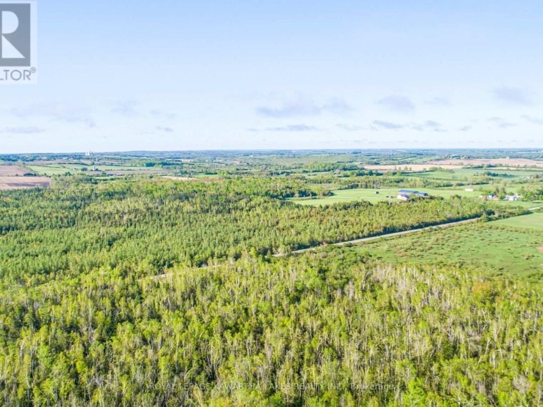 LOT 3 BLACK SCHOOL ROAD, Kawartha Lakes (Mariposa)
