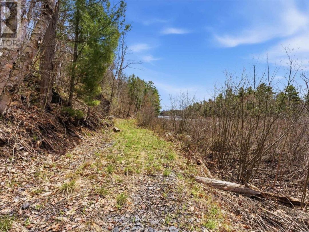 25 LAKE RIDGE ROAD, Bell Lake