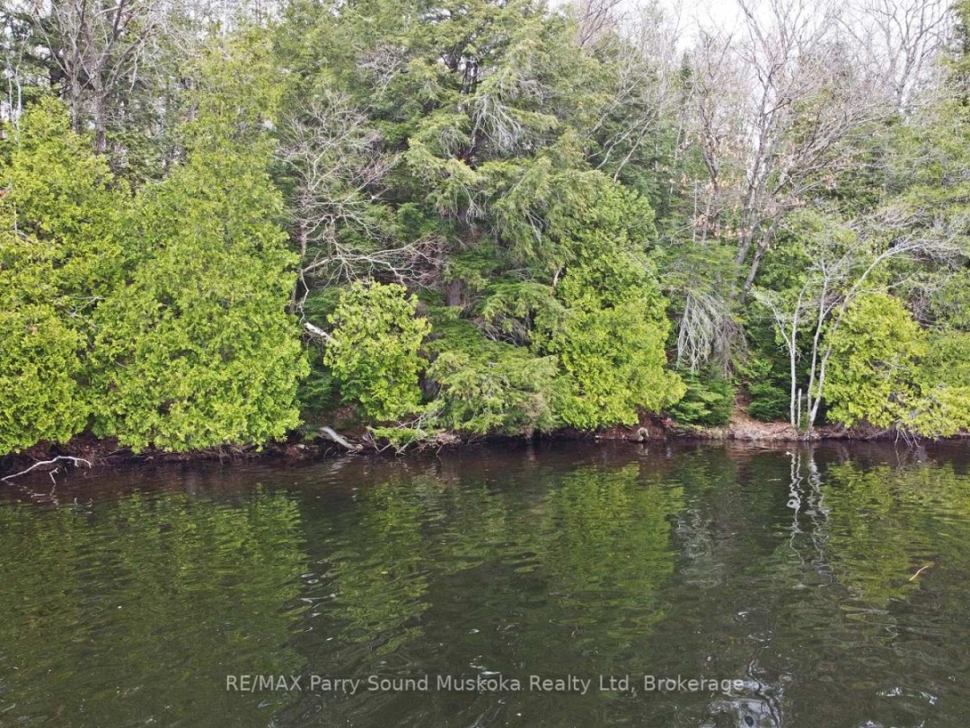 LOT 1 SHIELDS DRIVE, Horseshoe Lake