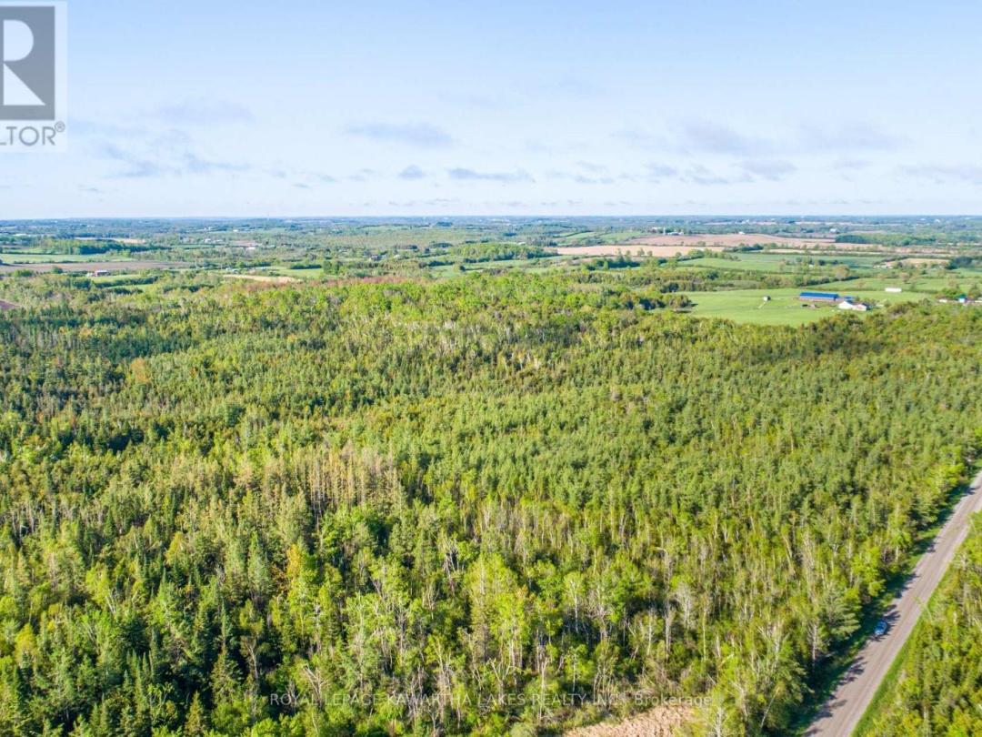 LOT 3 BLACK SCHOOL ROAD, Kawartha Lakes (Mariposa)