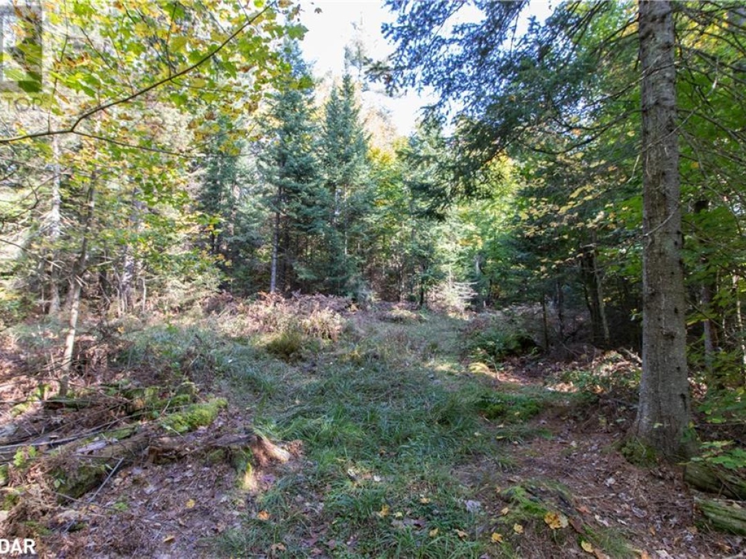 0 LYNX LAKE Road, 