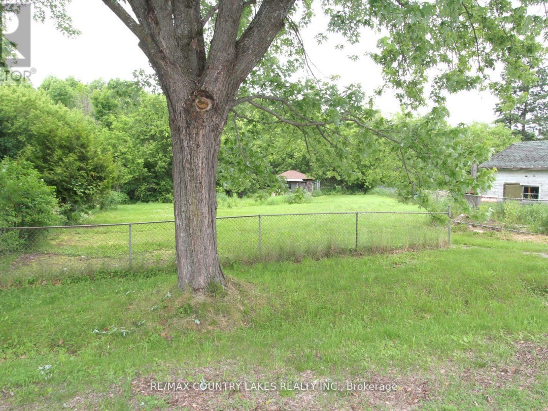 24 Richmond Street W, Kawartha Lakes (Carden)