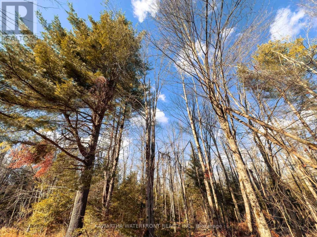 0 WEISMULLER LANE, Bracebridge (Draper)