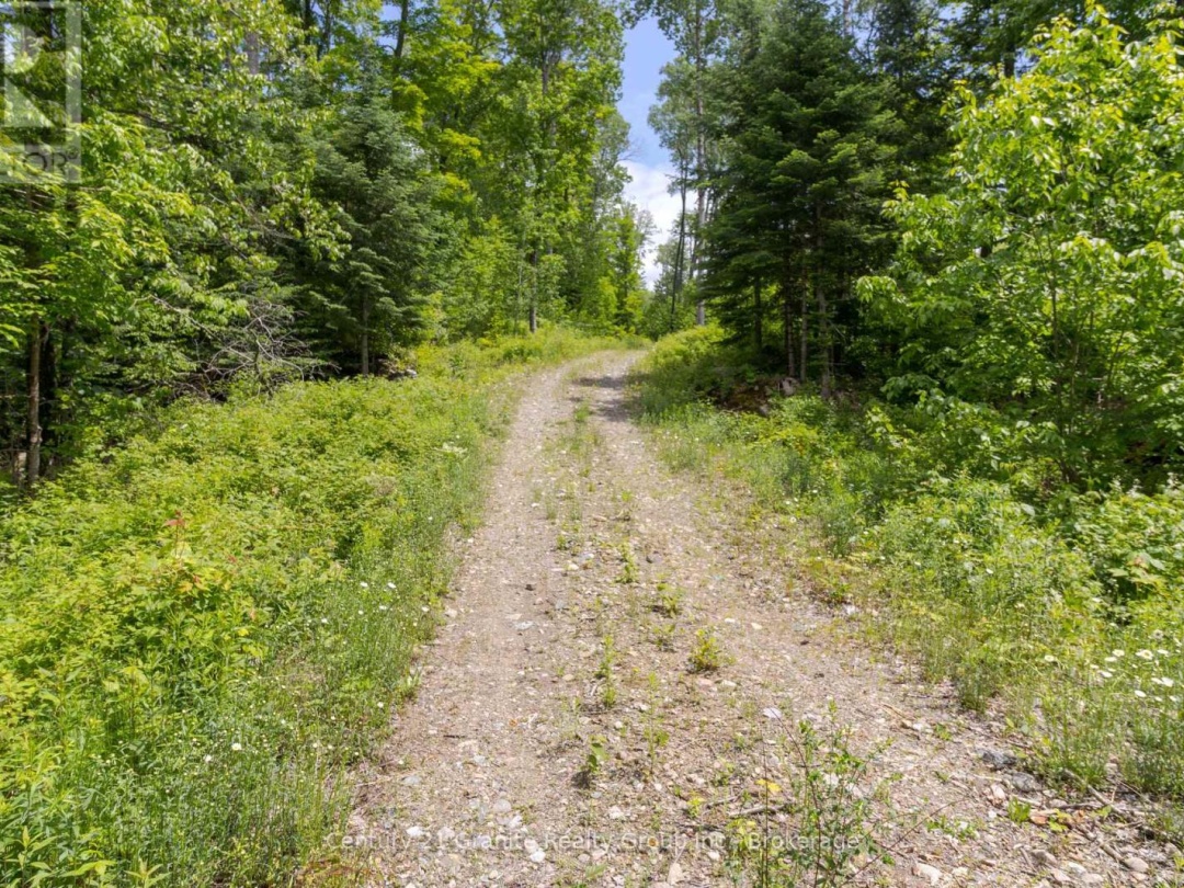 0 HALIBURTON LAKE ROAD, 
