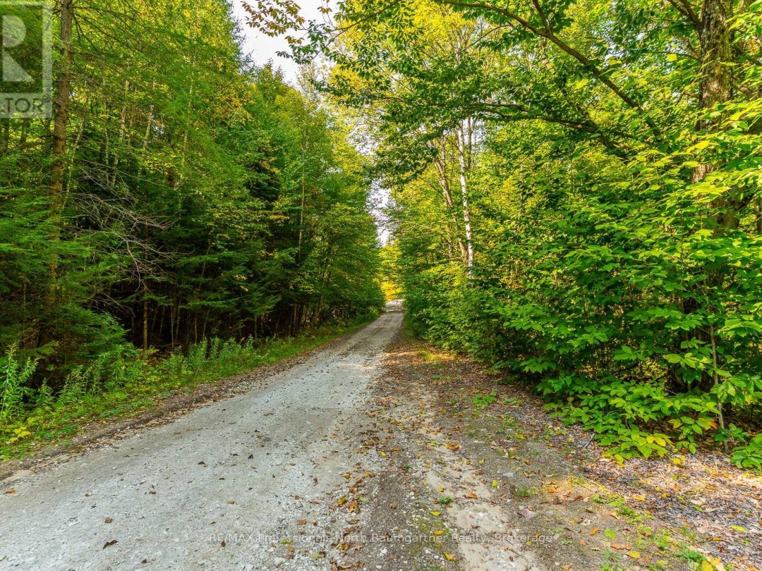LOT 49 BASSHAUNT LAKE ROAD, 