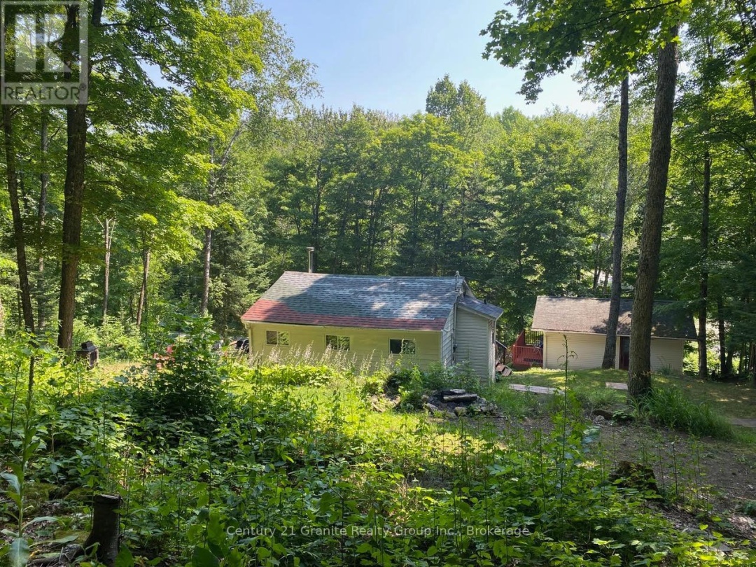 1013 MISKWABI LAKE ROAD, 