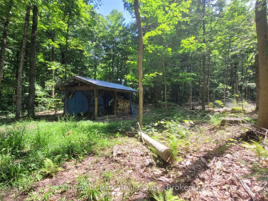 1060 BAKER SIDE ROAD, Bracebridge (Macaulay)