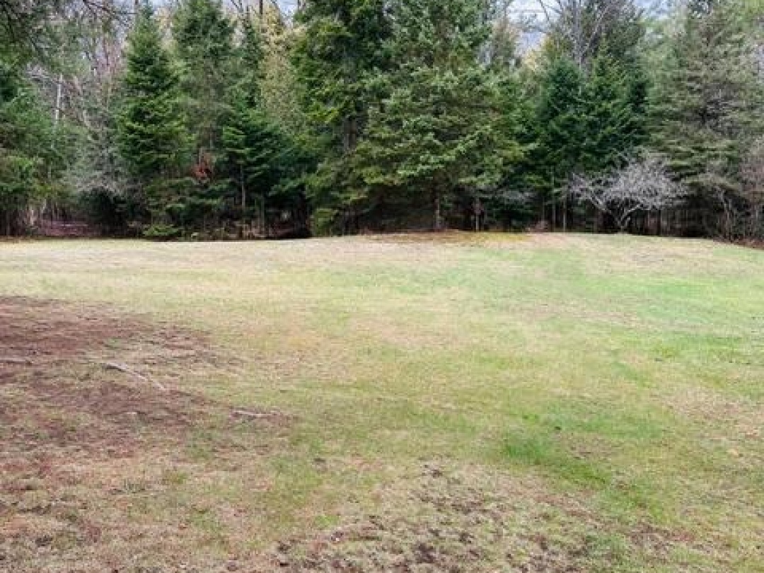 1297 HUNTER CREEK ROAD, Minden Hills (Lutterworth)