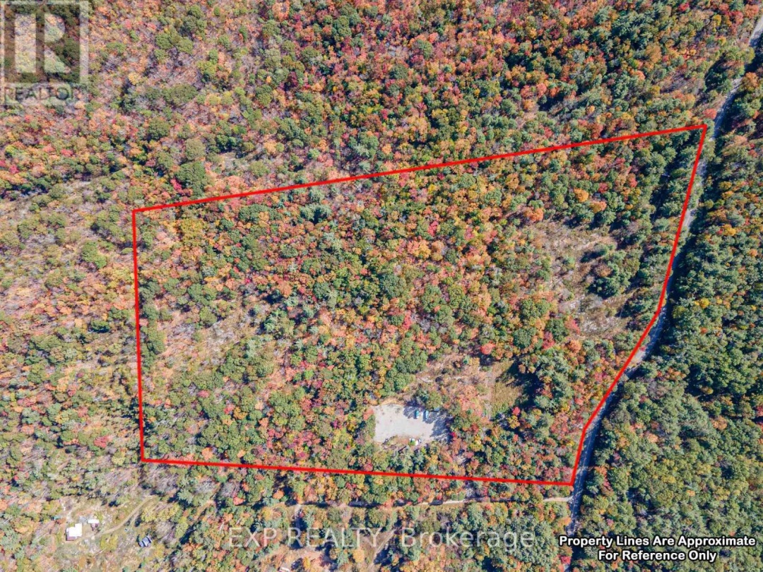 3124 SOUTHWOOD ROAD, Gravenhurst (Wood (Gravenhurst))