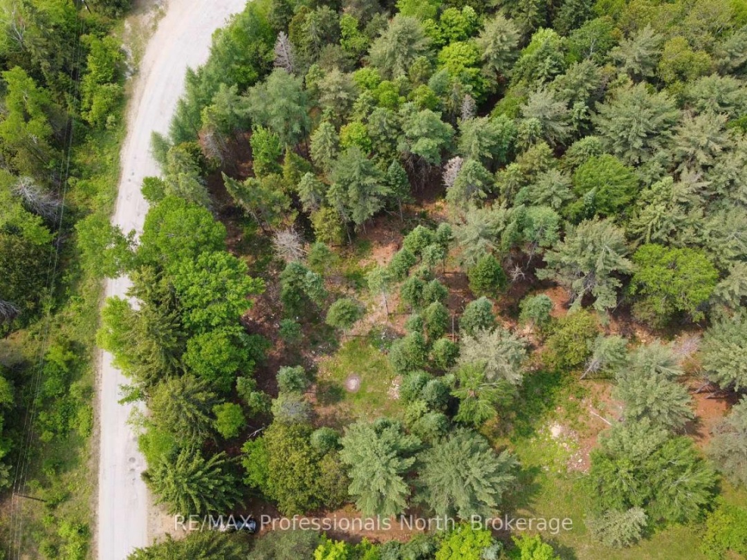 1897 BLAIRHAMPTON ROAD, Minden Hills (Minden)