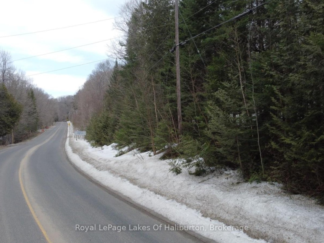 0 KASHAGAWIGAMOG LAKE ROAD, Dysart et al (Dysart)