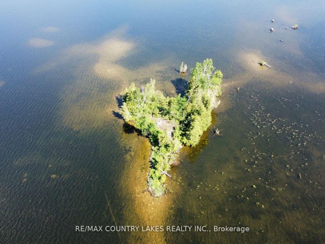 Lt 1 Island, Kawartha Lakes