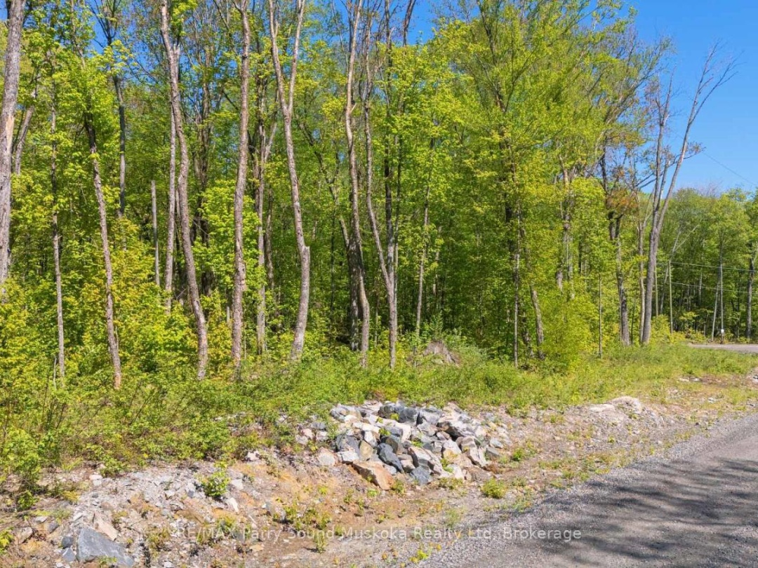 20 ZHAAWASHKWAA MIIKA ROAD, Clear Lake