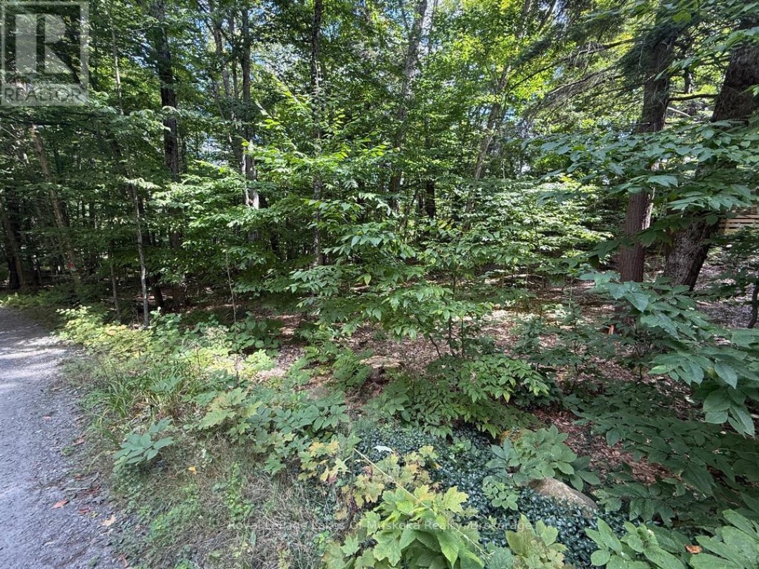 LOT 85 BRENNAN CIRCLE, Lake Vernon