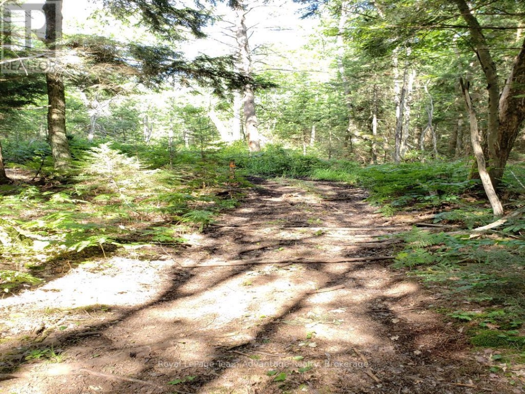 0 UNOPENED ROAD ALLOWANCE ROAD, McKellar