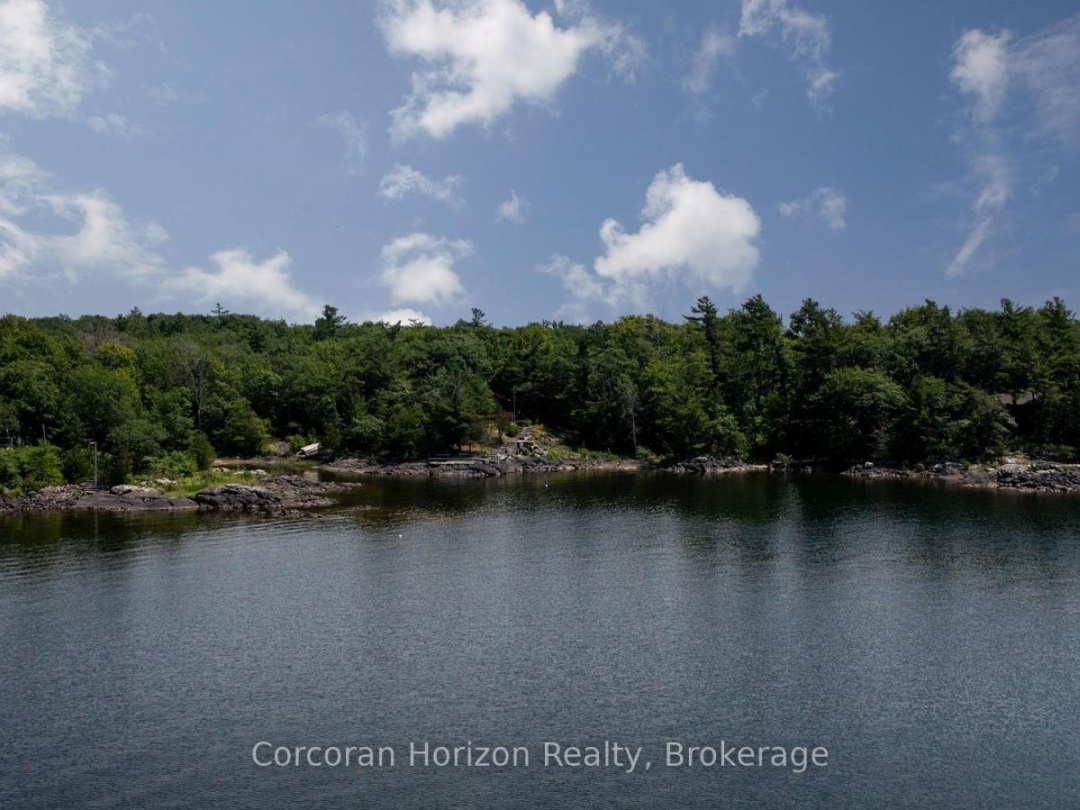 471 NORTH SHORE RD, Georgian Bay