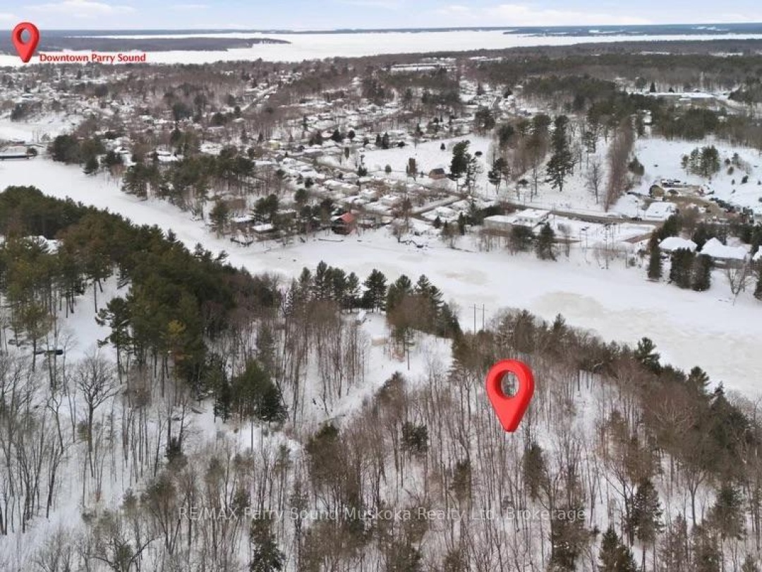 110D LOUISA STREET, Seguin River
