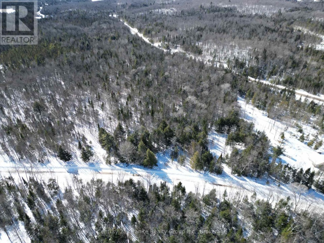 0 INDIAN POINT ROAD, Dysart et al (Dudley)