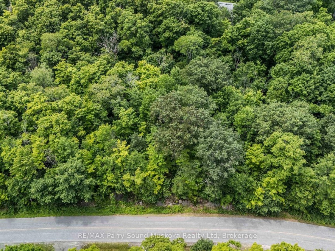 28 BEAVER TRAIL, 