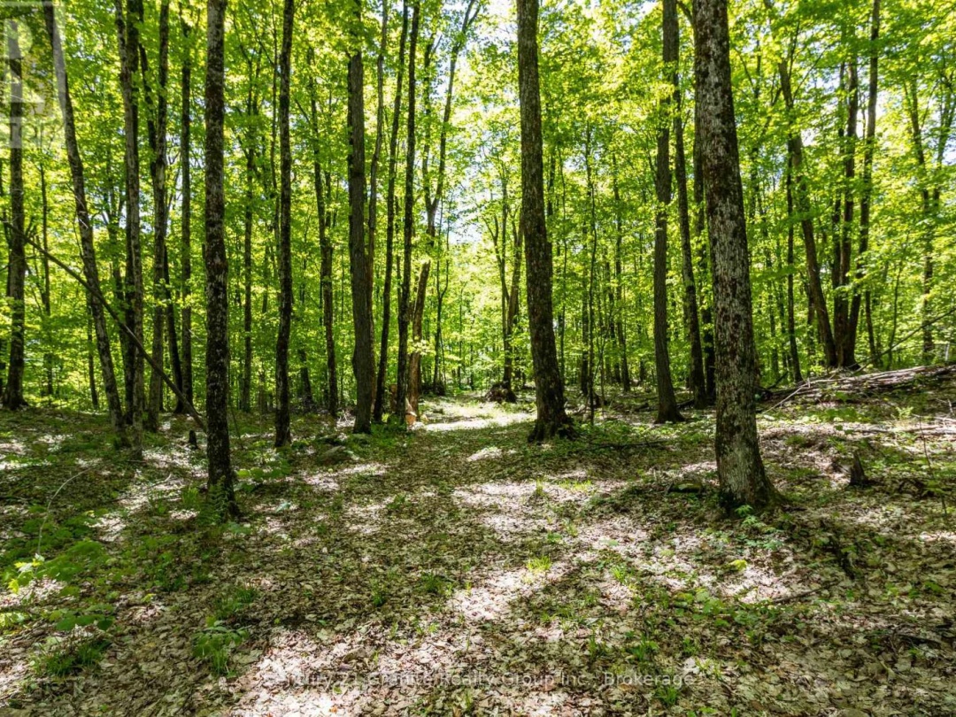 1145 MINK ROAD, Long Lake
