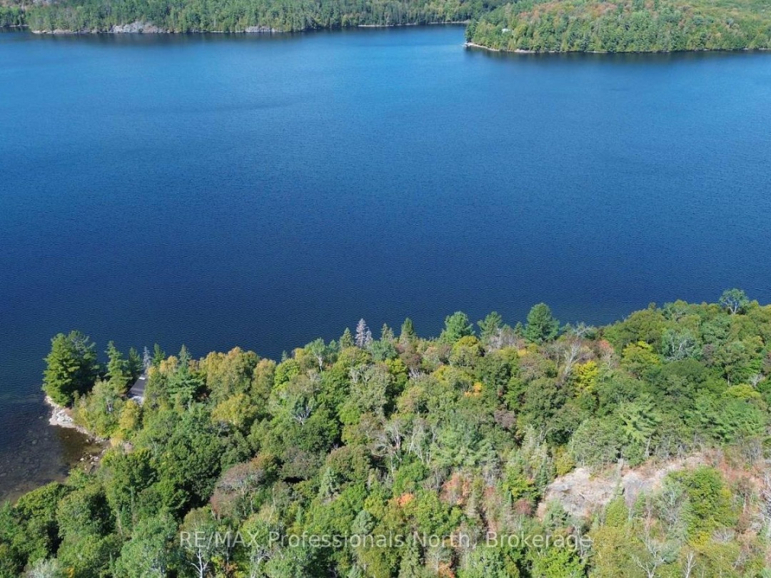 10191 FARQUHAR SOUTH SHORE, Farquhar Lake