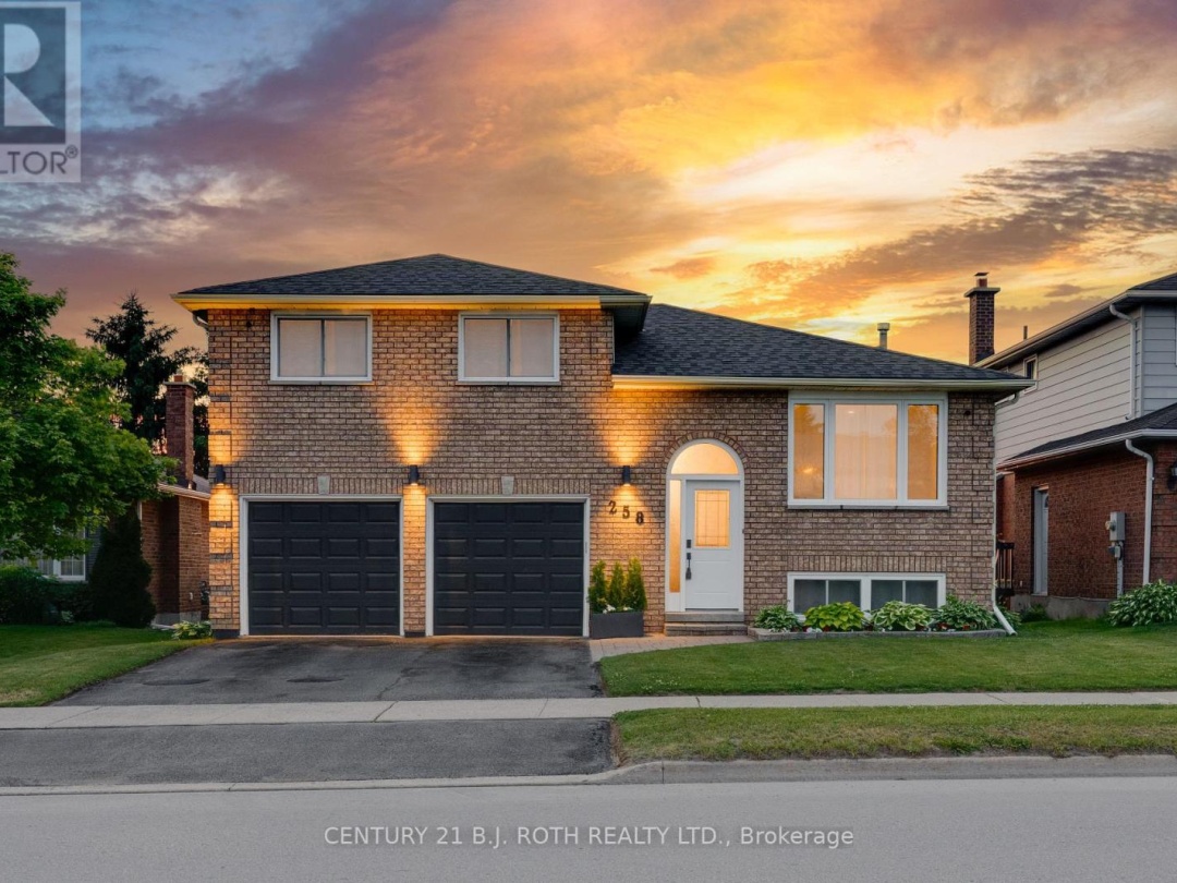 258 COLLEGIATE DRIVE, 