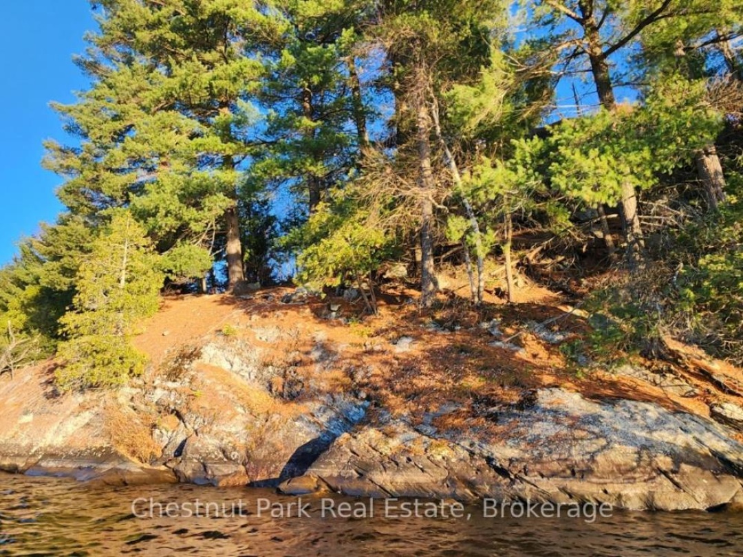 920 BIG ISLAND, 
