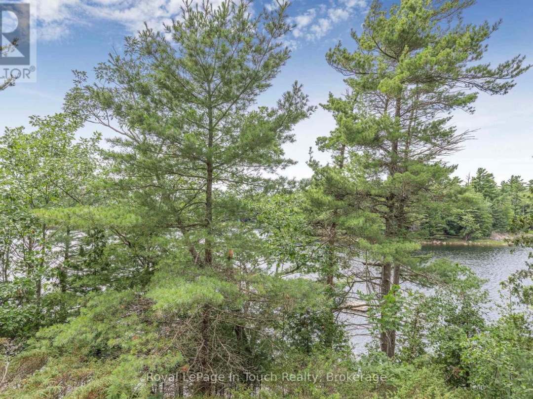 B207-10 WAHSOUNE ISLAND, Georgian Bay