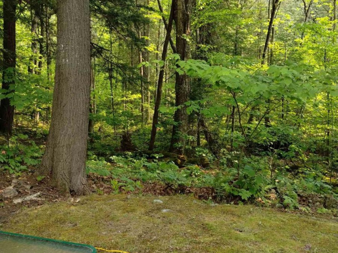 LOT 10 LOON LAKE ROAD S, Loon Lake