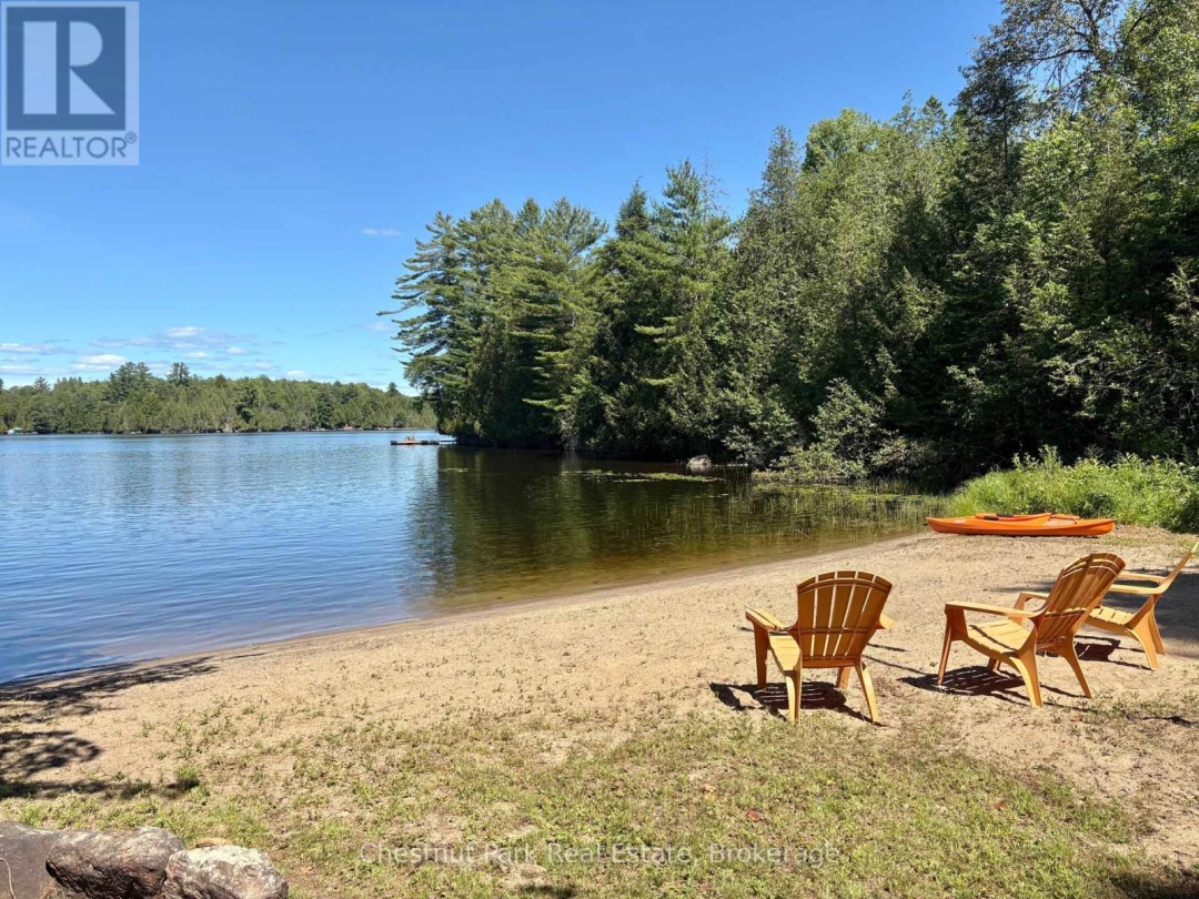 10453 COUNTY ROAD 503 ROAD, Gooderham Lake