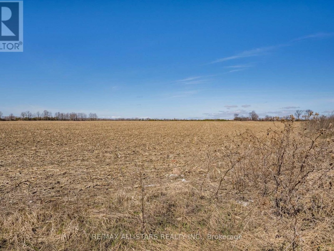 201 ROYAL OAK ROAD, 