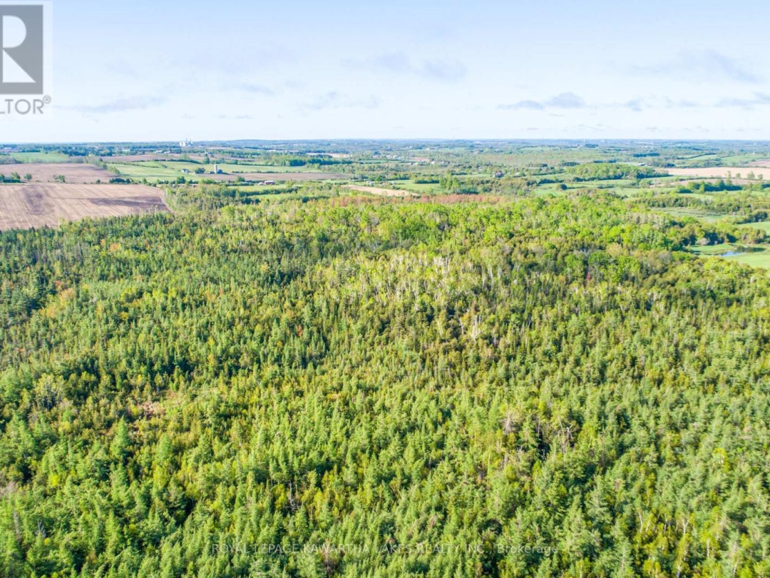 LOT 3 BLACK SCHOOL ROAD, Kawartha Lakes (Mariposa)