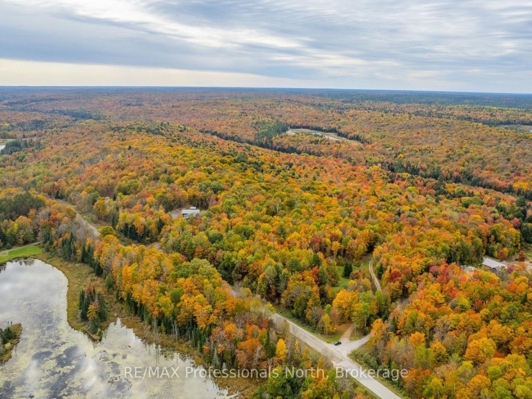 1600 BOBCAYGEON ROAD, Minden Hills (Minden)