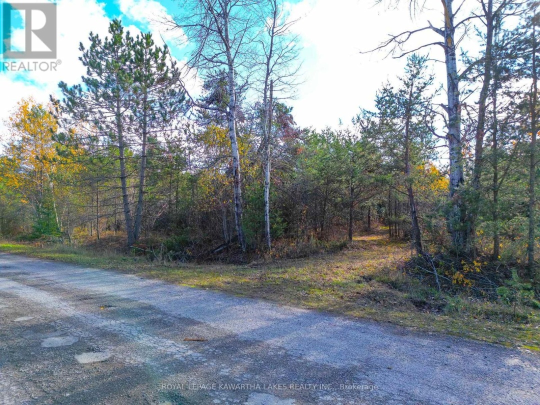 LT 36 HODGSON DRIVE, Kawartha Lakes (Somerville)