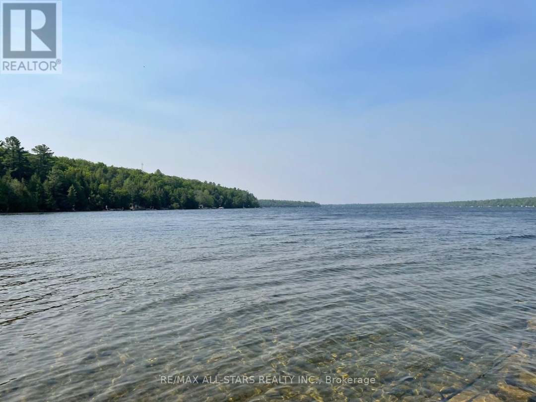 393 HILLSIDE DRIVE, Four Mile Lake