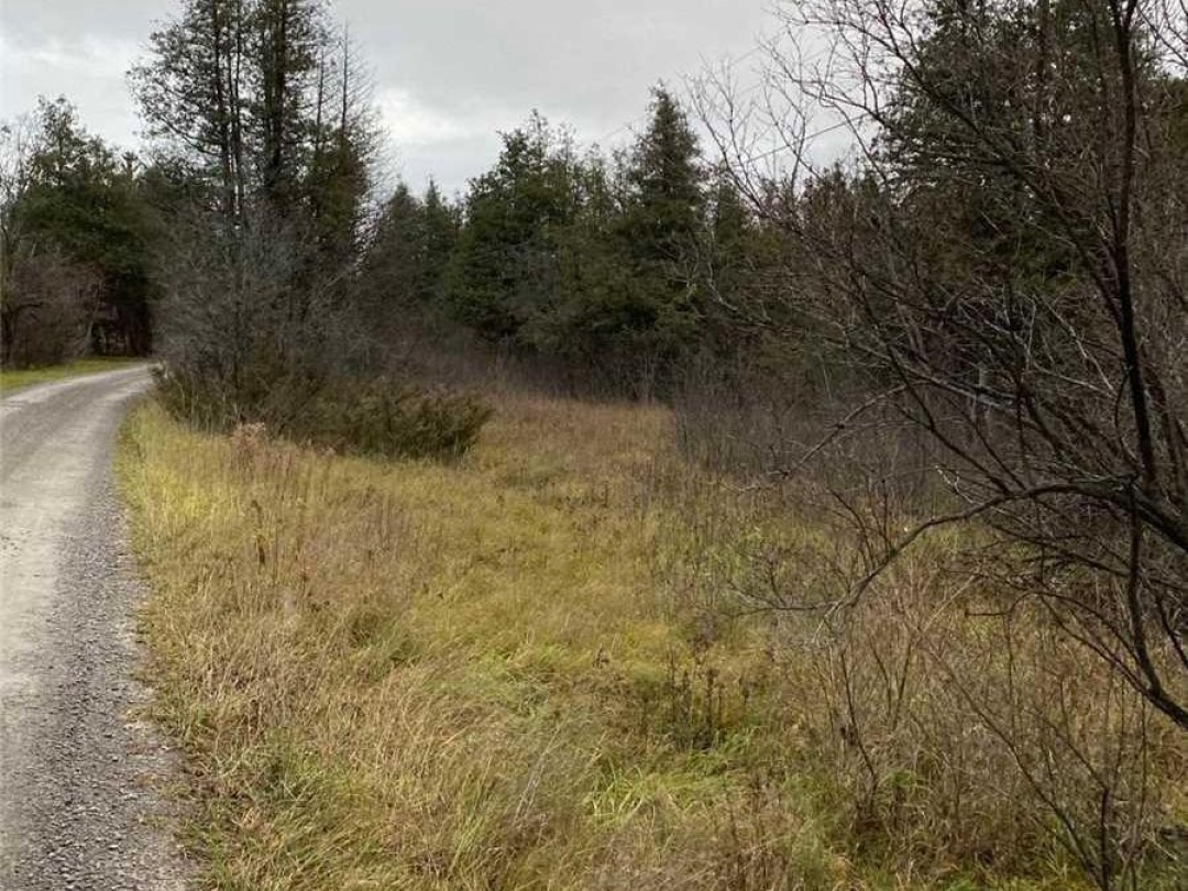 1411 PORTAGE ROAD, Mitchell Lake