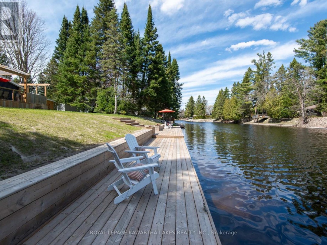 54 RIVERBANK ROAD, Burnt River