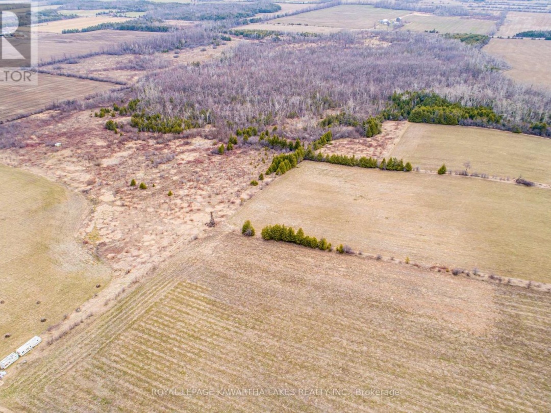 210 GRASSHILL ROAD, Kawartha Lakes (Woodville)