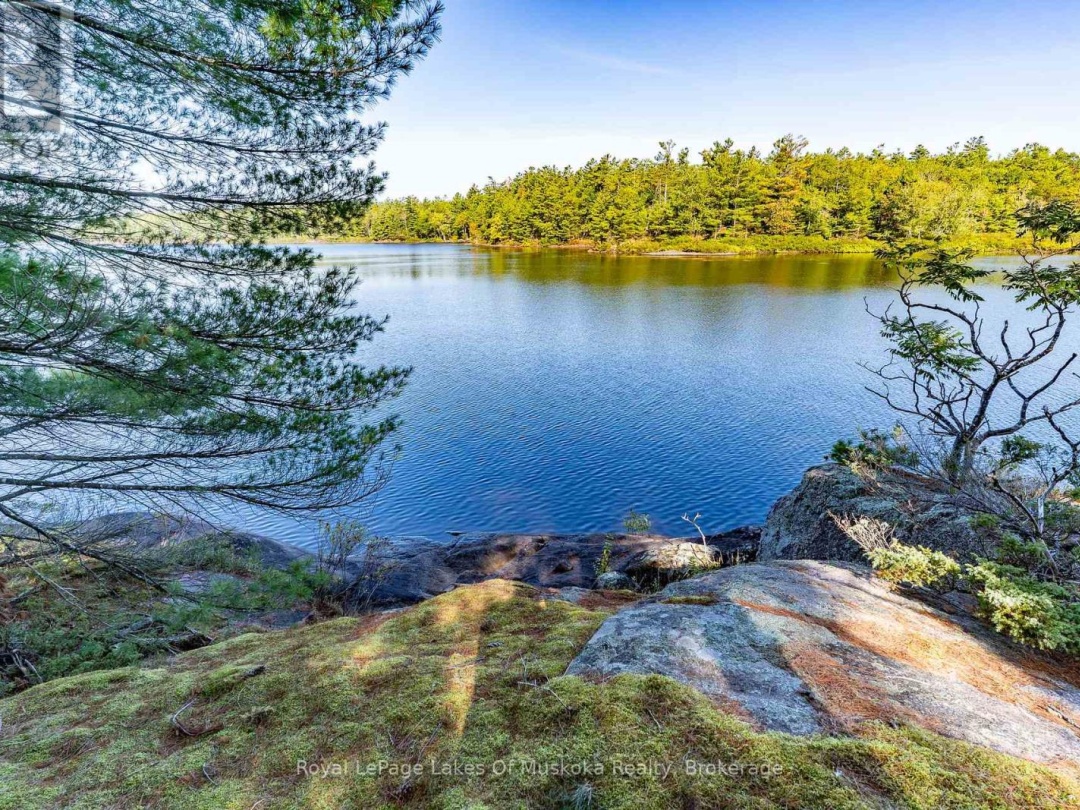 1010 TARA LANE, Morrison Lake