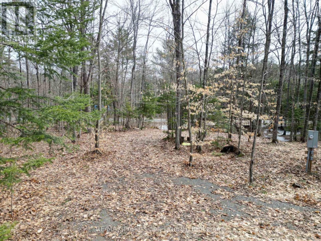 1231 BIG HAWK LAKE ROAD, Algonquin Highlands (Stanhope)