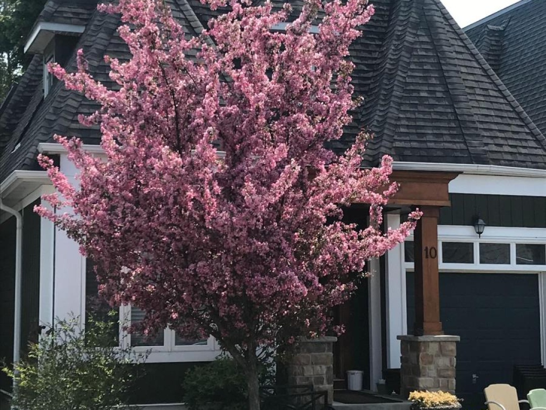 10 - 10 INVERMARA COURT, 