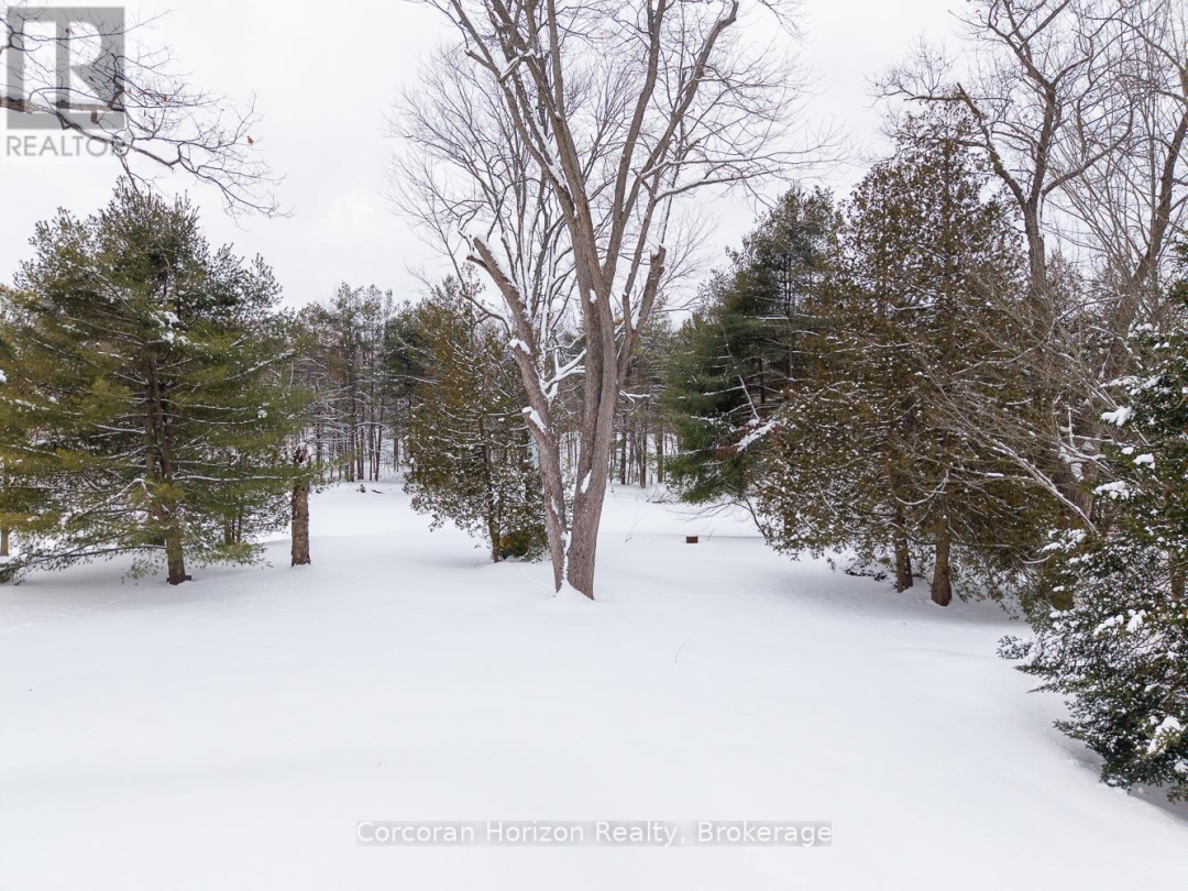 3000 WHELAN WAY, Black River
