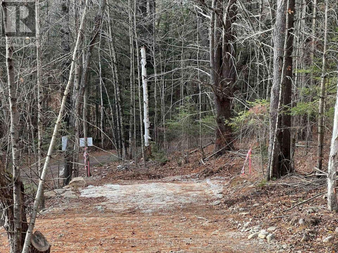 LOT 27 BUSHWOLF LAKE ROAD, Dysart et al (Guilford)