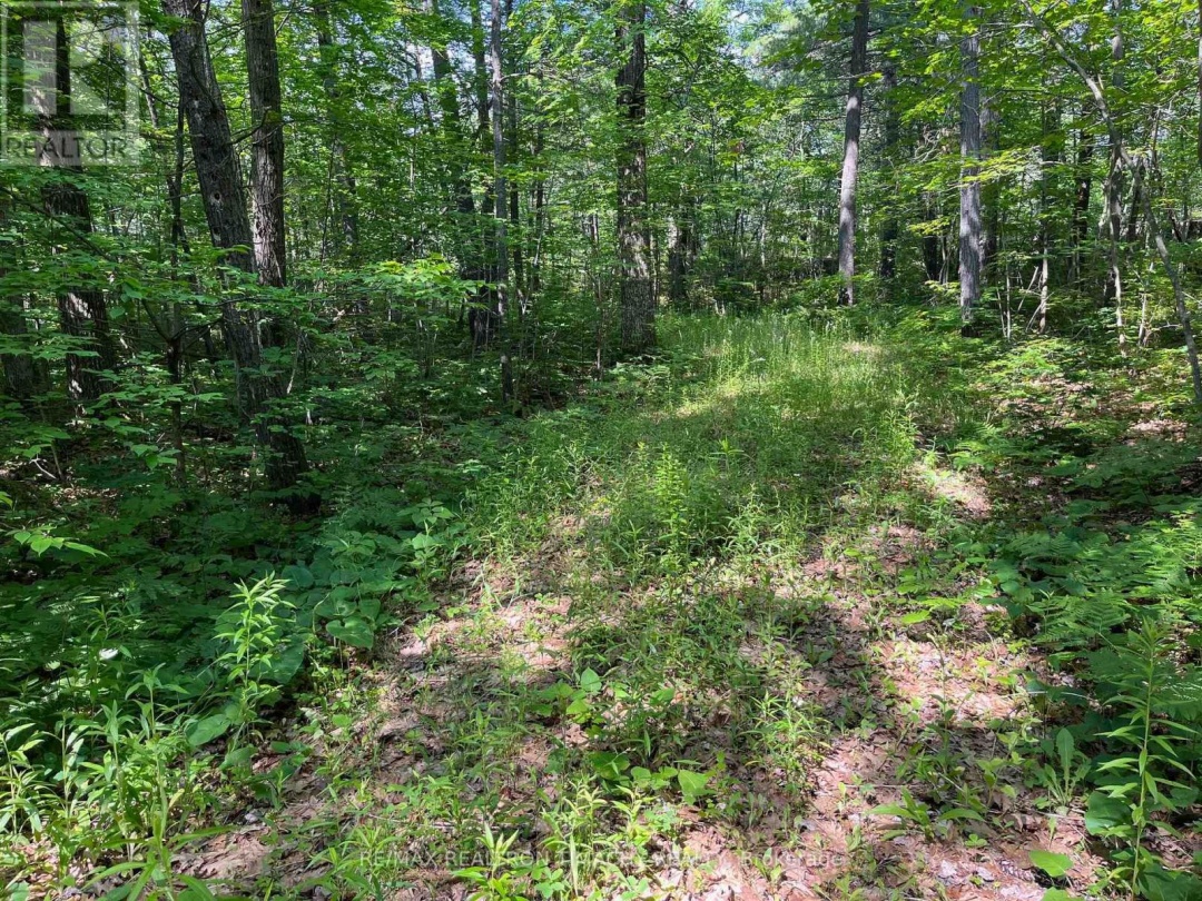 243 PRISQUE ROAD, Georgian Bay