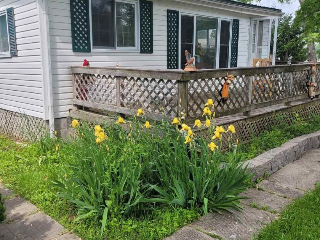 2644 LAKESHORE DRIVE, Lake Simcoe