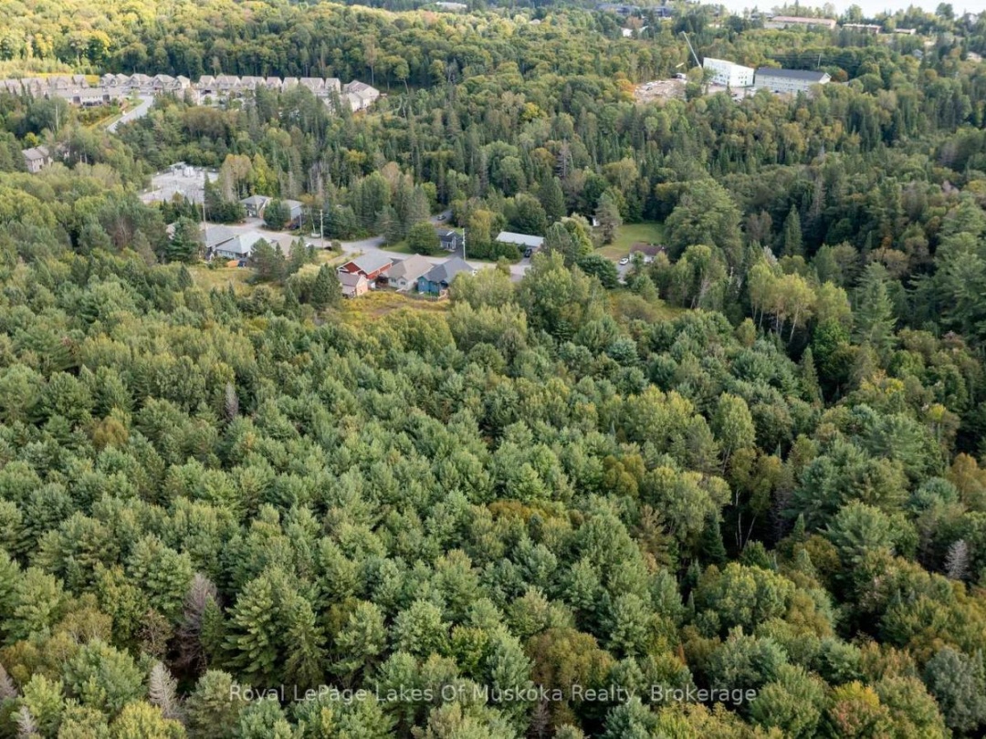 100 CHAFFEY TOWNSHIP ROAD, 