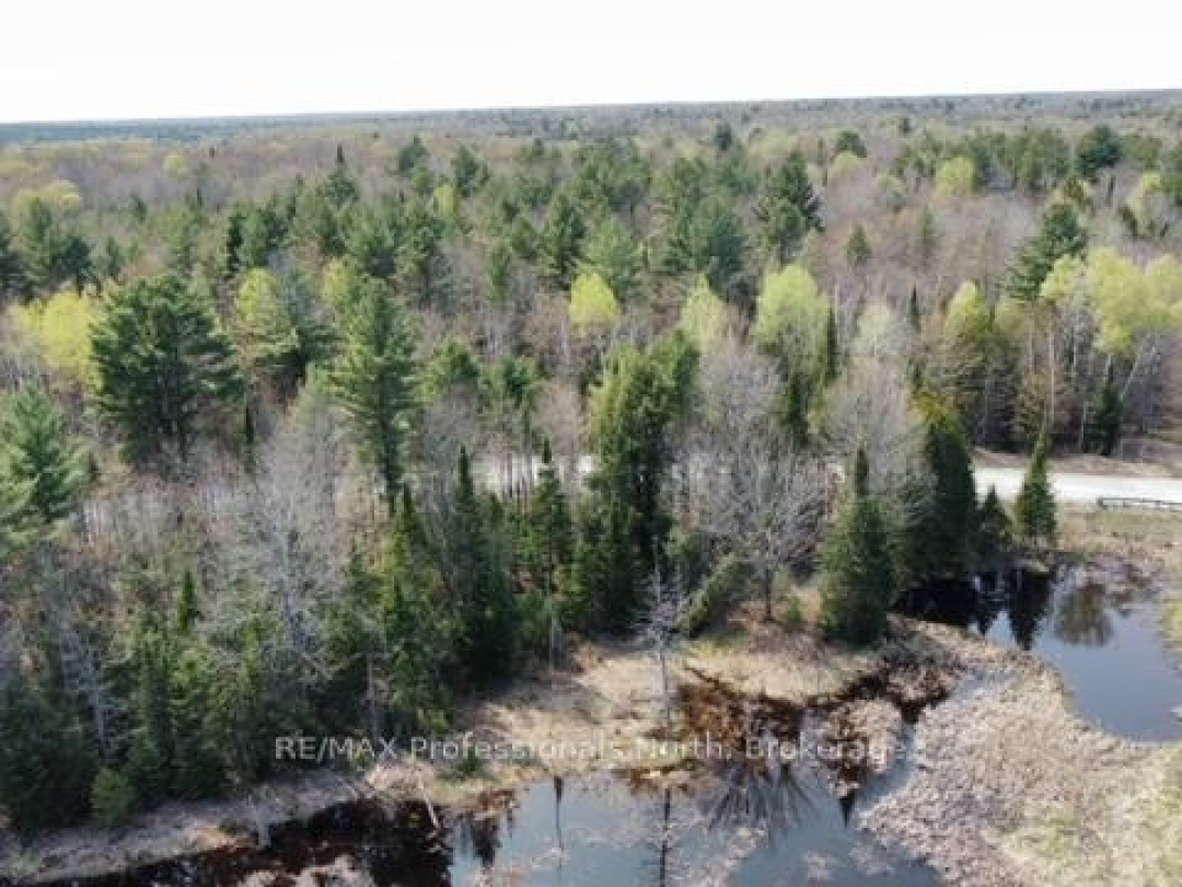 0 BOBCAYGEON ROAD, Minden Hills (Hindon)